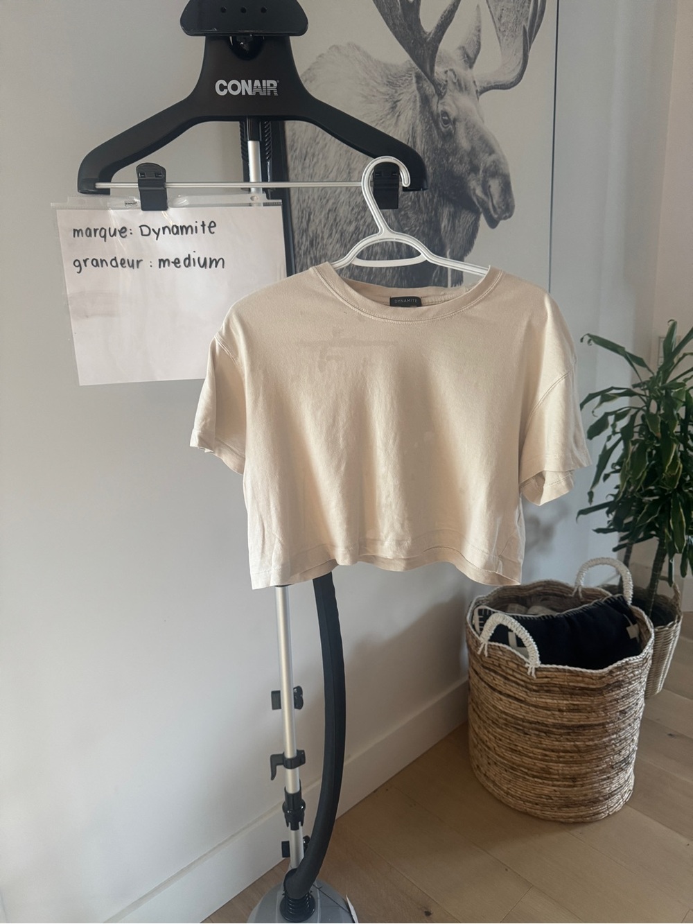 Dynamite Cropped Crewneck Tee in Cream